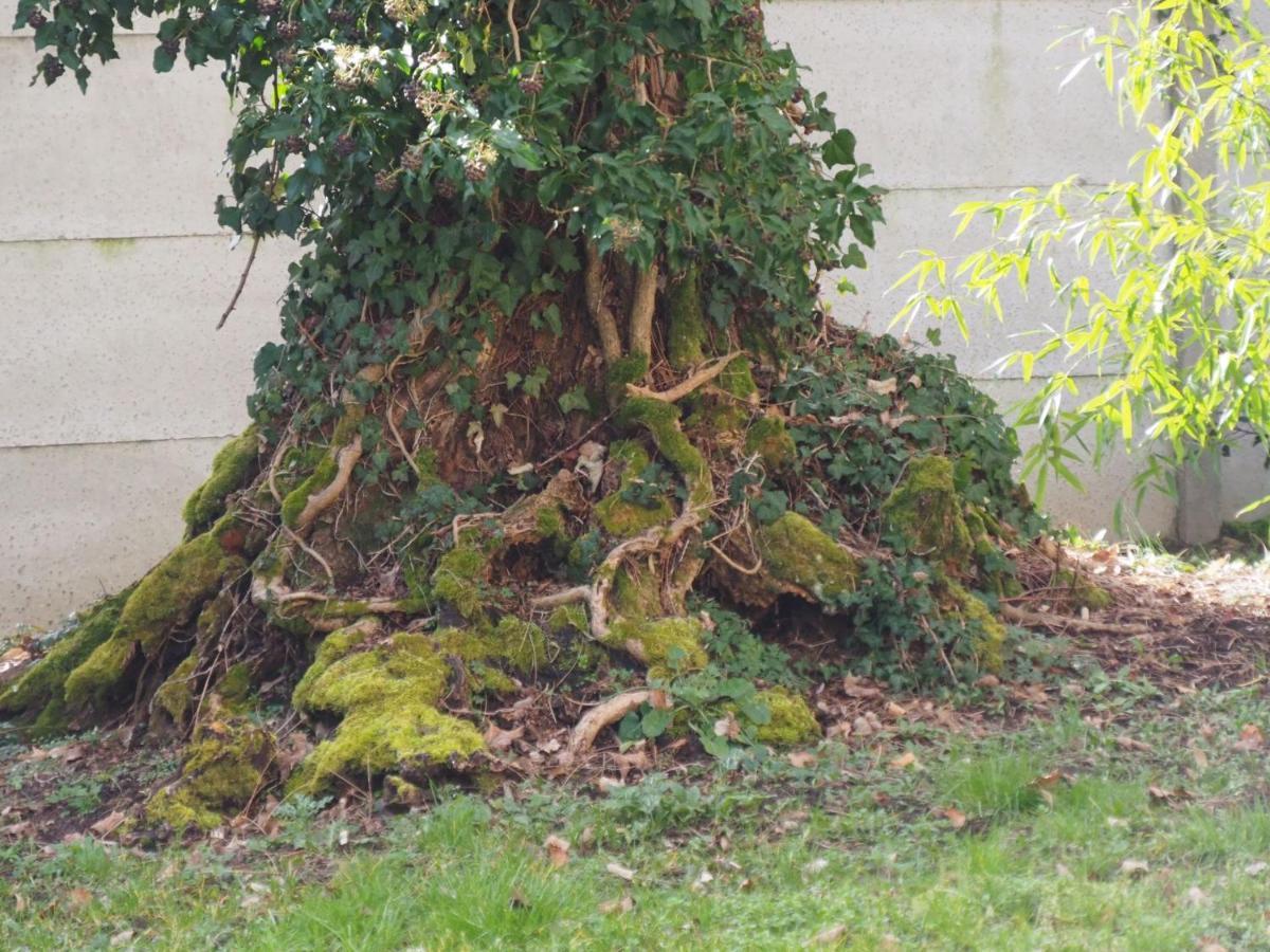 Chateau Segot Neuilly-le-Réal Eksteriør billede